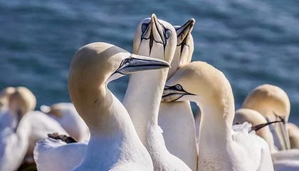 世界杯比赛直播客户端下载-【夜读】内马尔纹身孙悟空 想借助力量？